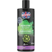 RONNEY Shampooing reconstructeur pour cheveux secs et cassants, 300ml