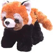 Wild republic HUG'EMS RED PANDA 7