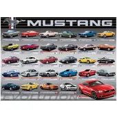 Eurographics Puzzle Ford Mustang Evolution - 1000 pièces