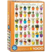 Eurographics Puzzle Cactus et plantes succulentes 1000 pièces