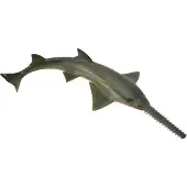 Collecta scie requin 88659 86596