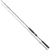 Daiwa Labrax Seabass Canne à lancer argent 3.05 m / 14-56 g argent 3.05 m