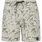 Protest Colney Swimming Shorts Vert 104 cm Garçon