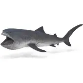 Collecta Figurine De Requin