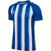 Hummel T-Shirt fonctionnel 'Match' vert / vert foncé / blanc