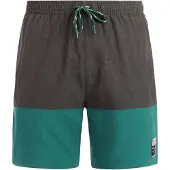 Protest Cabus Swimming Shorts Gris M Homme