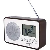 Camry Cr 1153 Portable Radio Clair
