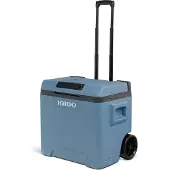 Igloo IE42