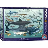 Eurographics Puzzle Requins 1000 pièces