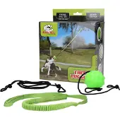 Jolly Jouet pour chiens Tree Tugger