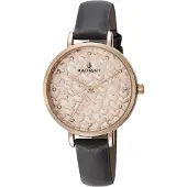 Radiant Montres ra431601