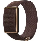 Polar Loop Activity Band Marron S-L