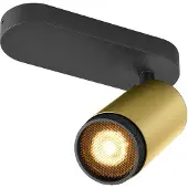 SLV Spot monté en surface Grip! L Or avec anneau noir
