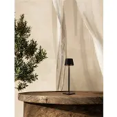 Nova Luce Lampe de table rechargeable Deck anthracite