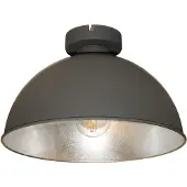 Artdelight Plafonnier Curve Ø 31 cm