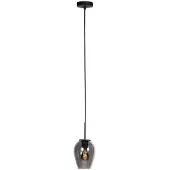 Mexlite - suspension - HaloSwap - noir - verre verre fumé - lampe de lit - E27 - 4290ZW