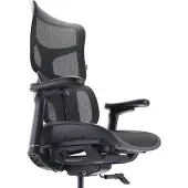 Sihoo Doro S100 (44 - 52 cm)