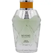 Bentley Beyond Wild Vetiver Eau de Parfum 100 ml
