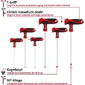 Einhell Accessories T-Griff Schraubendr.Satz 6tlg (Clé Allen)