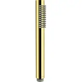 Deante 1 Function Shower Head Doré