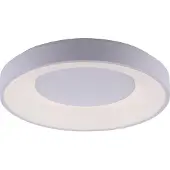 Paul Neuhaus Plafonnier Plafonnier avec télécommande CCT 2700-5000 Kelvin 3200 lumens hauteur 9 cm plastique blanc