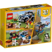 LEGO Creator 31075 Outback-Abenteuer
