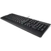 Lenovo Preferred Pro II, Taille complète (100%), filaire, USB, QWERTY, noir