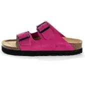 Bayton Mule rose