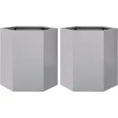 vidaXL Jardinières 2 pcs hexagone 46x40x45 cm acier galvanisé