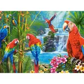 Castorland Puzzle 2000 pièces Parrot Meeting 200870