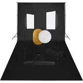 vidaXL Kit de studio photo boîtes à lumière toile de fond réflecteur