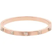 Swarovski Bracelet tactique, (6.20 cm, Acier inoxydable)
