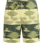 Protest Keswick Swimming Shorts Vert L Homme