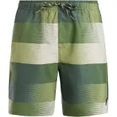 Protest Lomond Swimming Shorts Vert L Homme