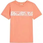 O'Neill T-Shirt abricot / blanc