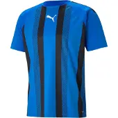 Puma teamLIGA Striped Jersey Jr-704927