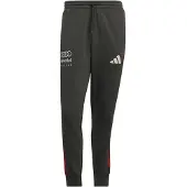 Adidas Pantalon de sport 'Audi Formula One Team DNA' gris foncé / rouge / blanc