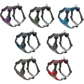 Hunter harnais Divo, couleur:bleu clair/gris, tailles:M