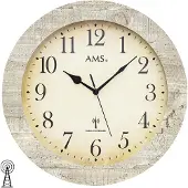 AMS montre 5561