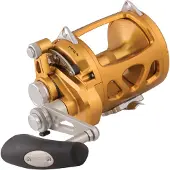 Penn International Vi Sw Trolling Reel Doré 30