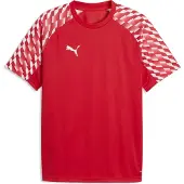 Puma T-Shirt fonctionnel 'TeamLiga26' rouge / rouge feu / blanc