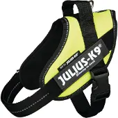 JULIUS K-9 Julius K9 IDC Power harnais de chien mini vert fluo 16IDC-NE-M