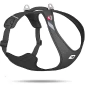 Curli Harnais pour chien Belka Air-Mesh Noir XL, 11,5-18 kg