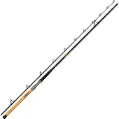Black Cat Battle Cat Catfish Rod Argenté 3.20 m / 250 g