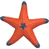 Schleich GmbH Étoile de mer Autres