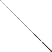 Daiwa Canne à Jigging Lent Legalis
