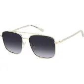 Polaroid Lunettes de soleil PLD 4192/G/S/X 2F7/WJ