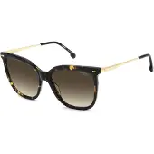 Carrera Lunettes de Soleil - - 3071/S - Acétate - Havana gold - 57/17/140