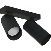 Licht-Erlebnisse Spot en saillie noir Mono 2 lumières inclinables