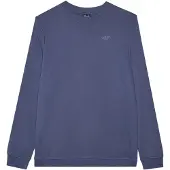 4F Hommes, Pull-over, Herren-Sweatshirt, Bleu, (S)